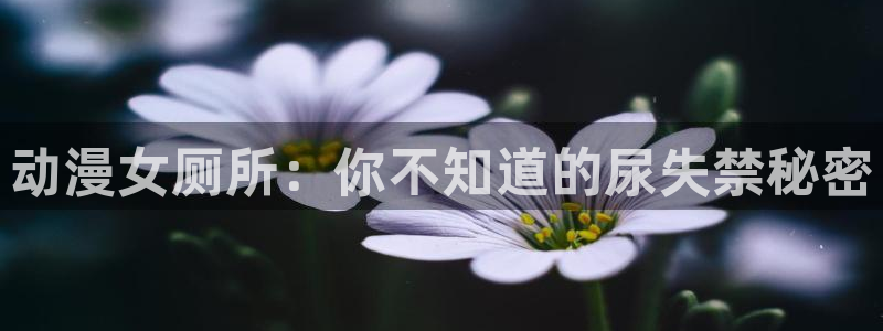 51动漫免费下载网站：动漫女厕所：你不知道的尿失禁秘密