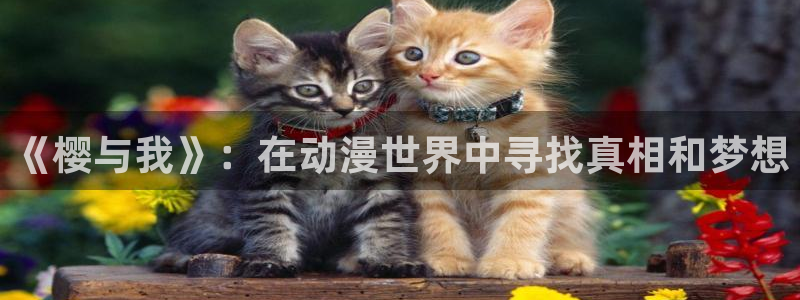 51动漫大全最新动漫推荐：《樱与我》：在动漫世界中寻找真相和梦想