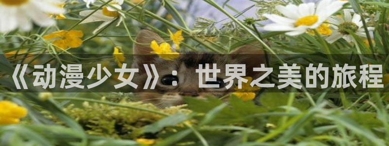 51动漫免费下载官网：《动漫少女》：世界之美的旅程