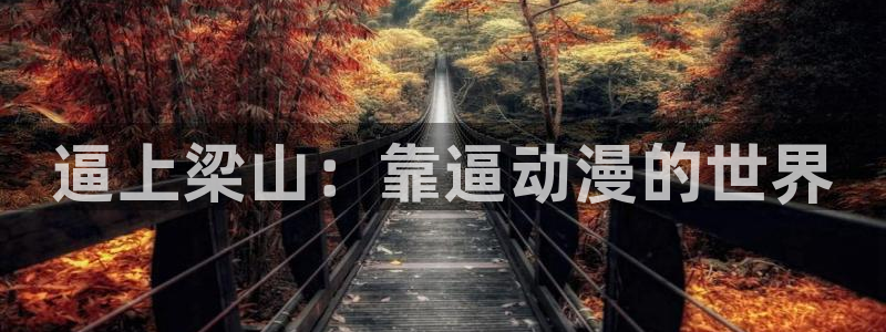 51动漫3.5.0版本：逼上梁山：靠逼动漫的世界