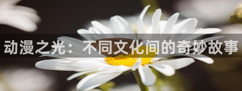 51动漫官网.：动漫之光：不同文化间的奇妙故事