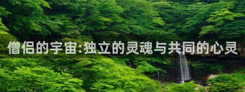 51动漫进入：僧侣的宇宙:独立的灵魂与共同的心灵
