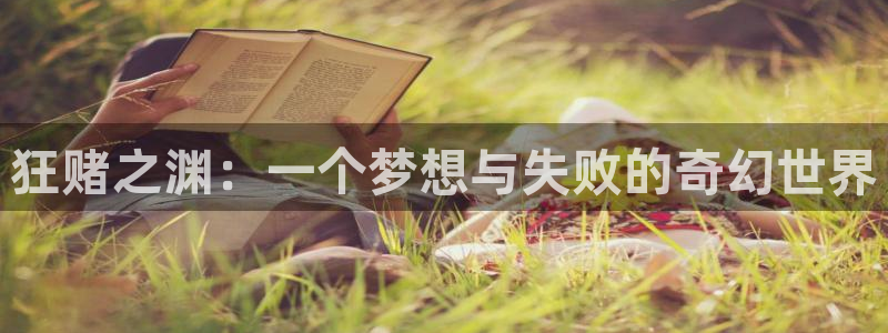 51动漫老版本的特点：狂赌之渊：一个梦想与失败的奇幻世界